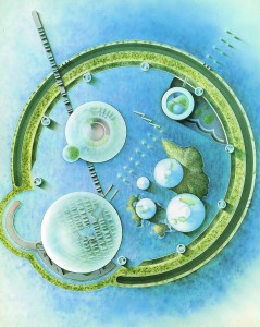 Shin Takamatsu; Yokohama Liman Kenti.